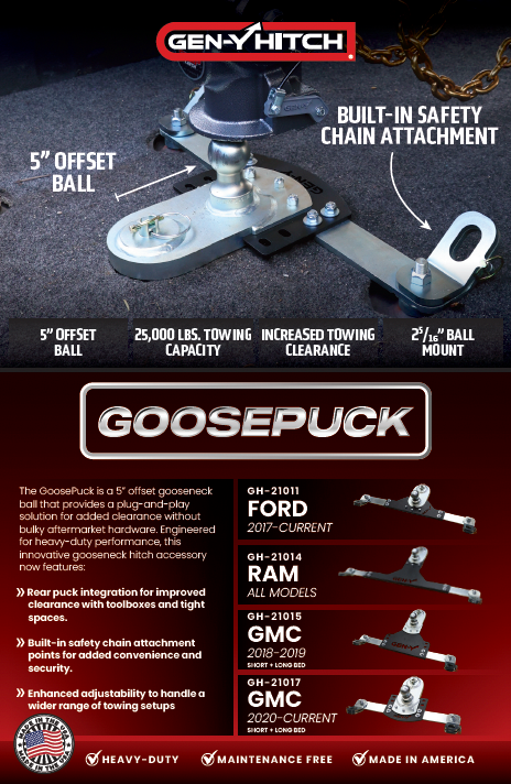 GoosePuck Flyer
