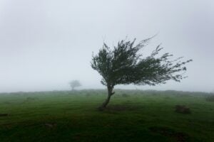 towing in high winds